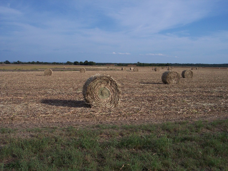 Crawford, TX: Farming and Ranching just outside of Crawford, Texas