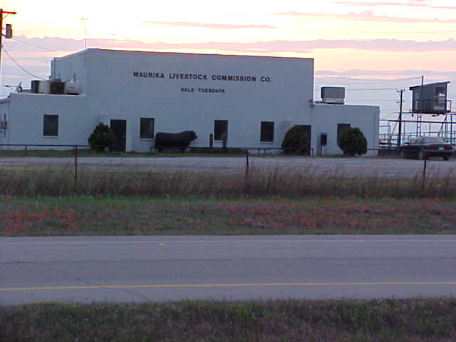 Waurika, OK : Waurika Livestock Commission building