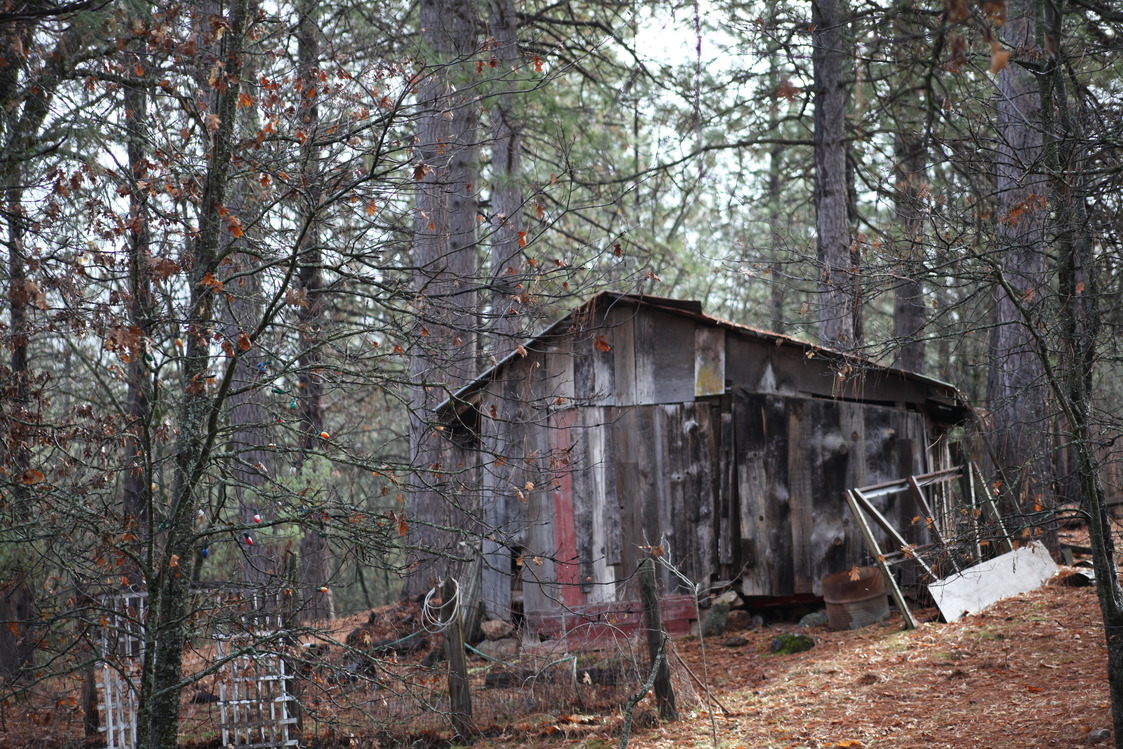 Rail Road Flat, CA : Miners shack -downtown Rail Road Flat, CA