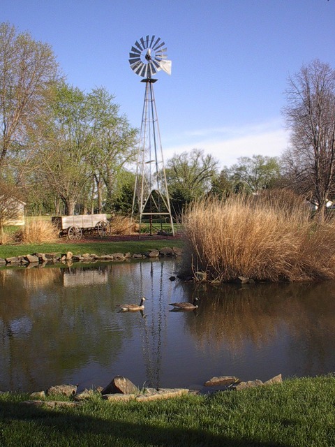 Waterloo, NE: The pond at Syngenta's