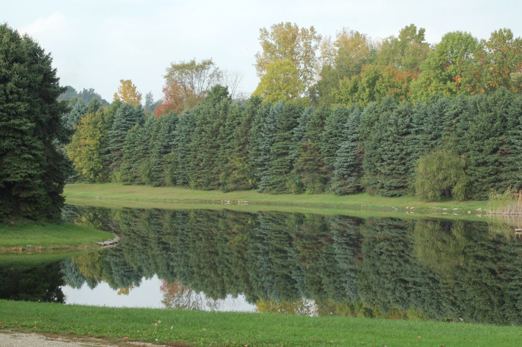 Mantua, OH : lake in mantua