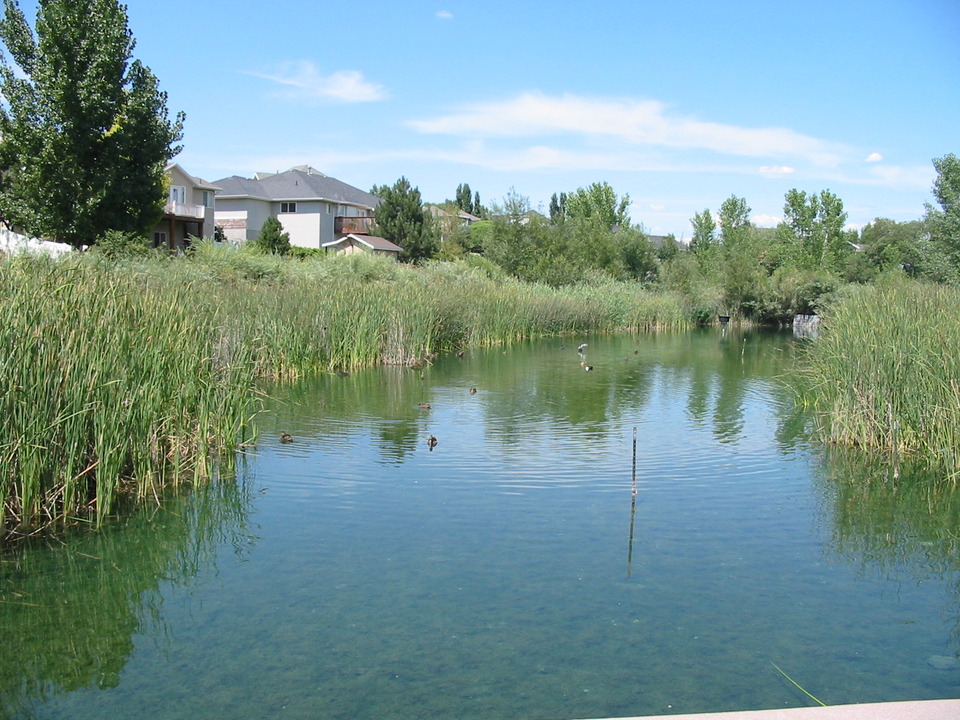Riverton, UT: Wetlands area along the Riverton section of the Jordan River bicycle trail.