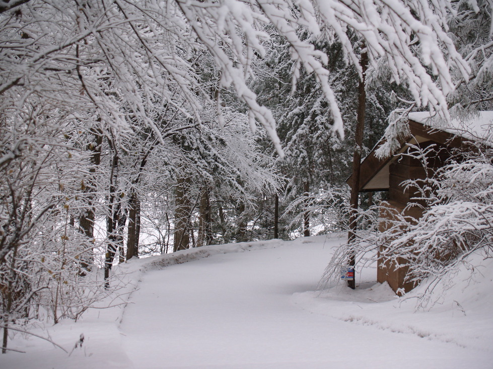 Burnsville, MN: Winter Wonderland