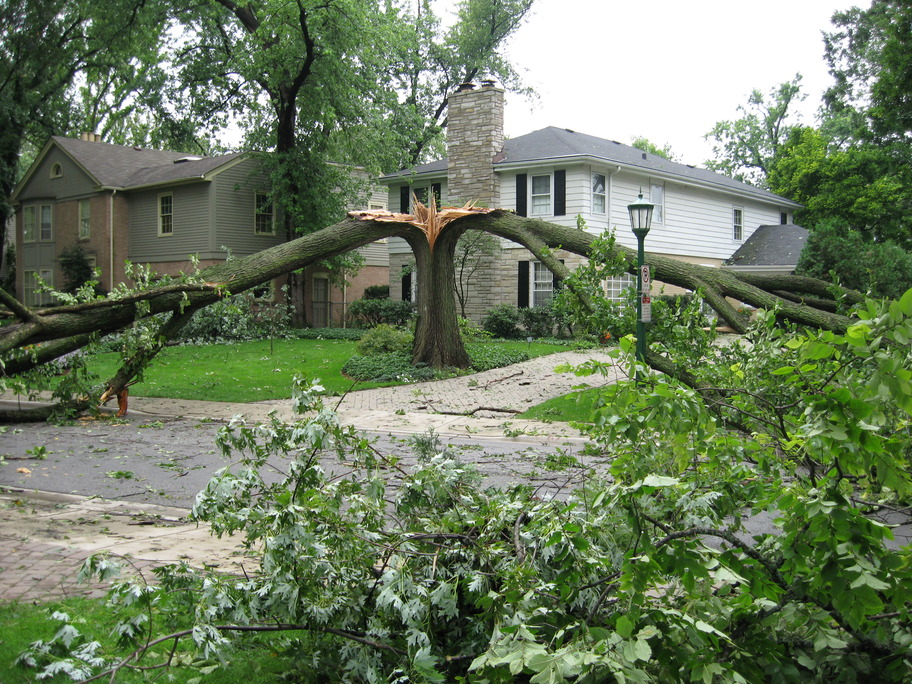Wilmette, IL: Aftermath of a lightning storm, August 2007