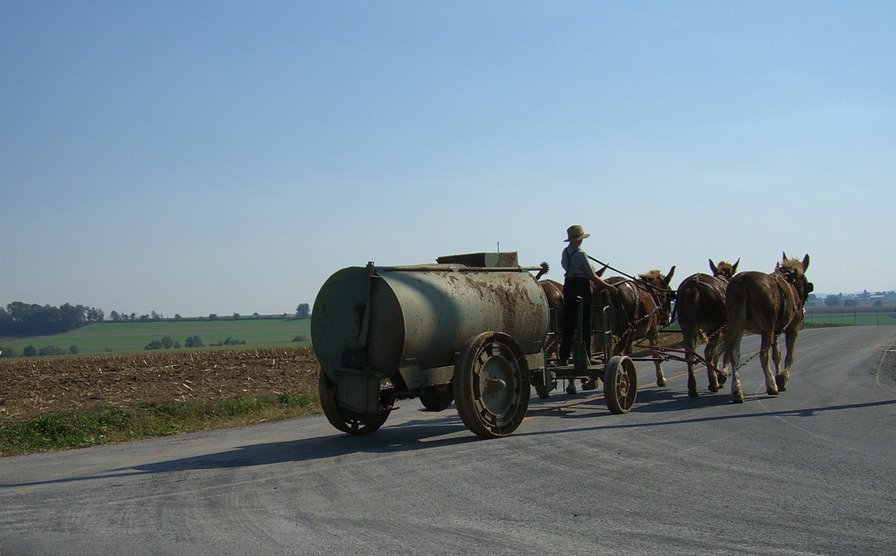 Lancaster, PA: Amish Man