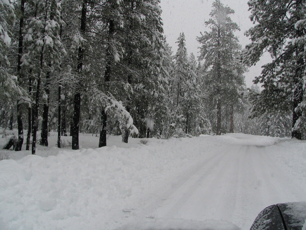 La Pine, OR: La Pine in winter.