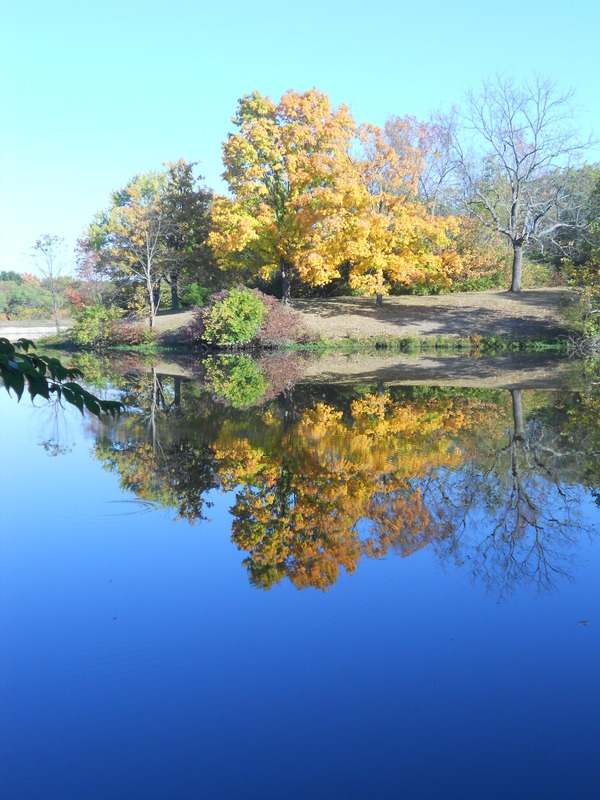 Mason, OH : Pine Hills Lake Park photo, picture, image (Ohio) at city