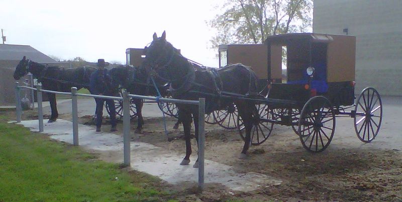 New Wilmington, PA: Amish Buggies outside Dollar General, New Wilmington, PA