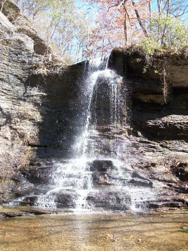 Savannah, TN: waterfall at drycreek