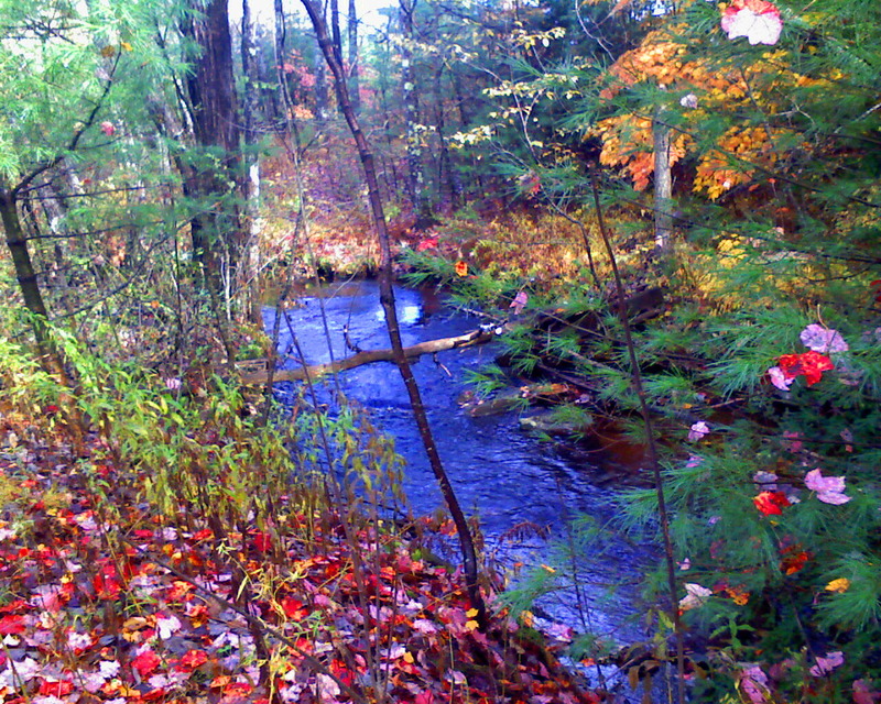 Gorham, ME: The brook along our property