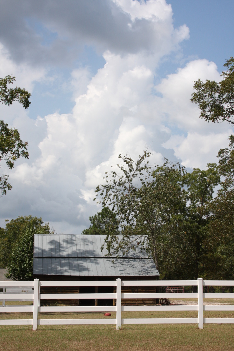 Metter, GA Roadside Farmland in Metter photo, picture, image