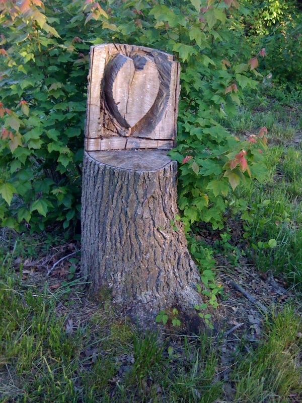 Townsend, DE: A tree carving in our backyard
