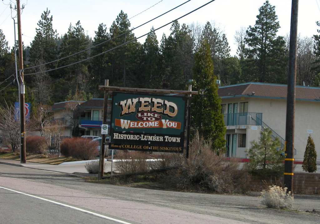 Weed, CA weed sign photo, picture, image (California) at