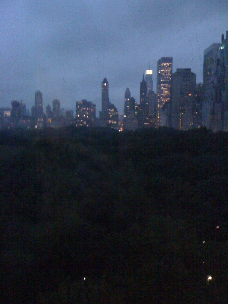 New York, NY: Central Park from Trump Tower at night