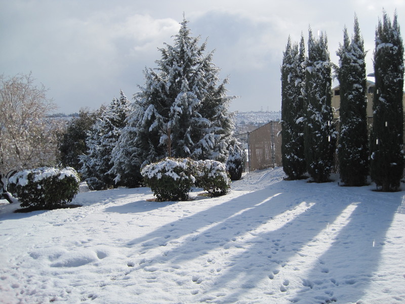 Hesperia, CA : Hesperia snow storm Jan 2011 photo, picture, image