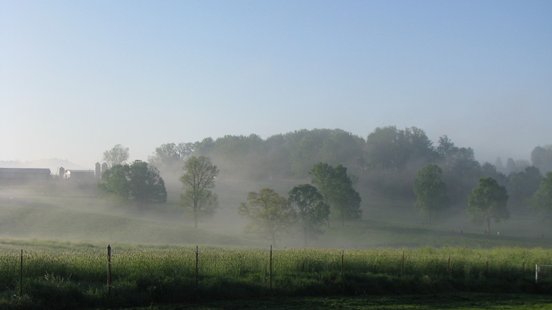 Gray, TN: Beautiful morning