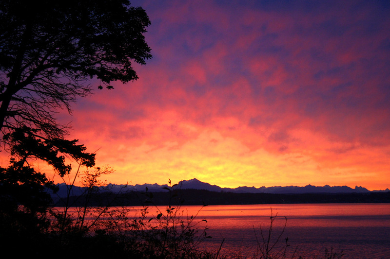 Oak Harbor, WA: Awesome red sunrise in Oak Harbor