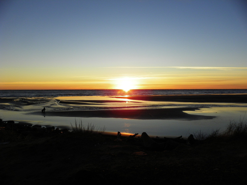 Tokeland, WA Washaway Beach photo, picture, image (Washington) at