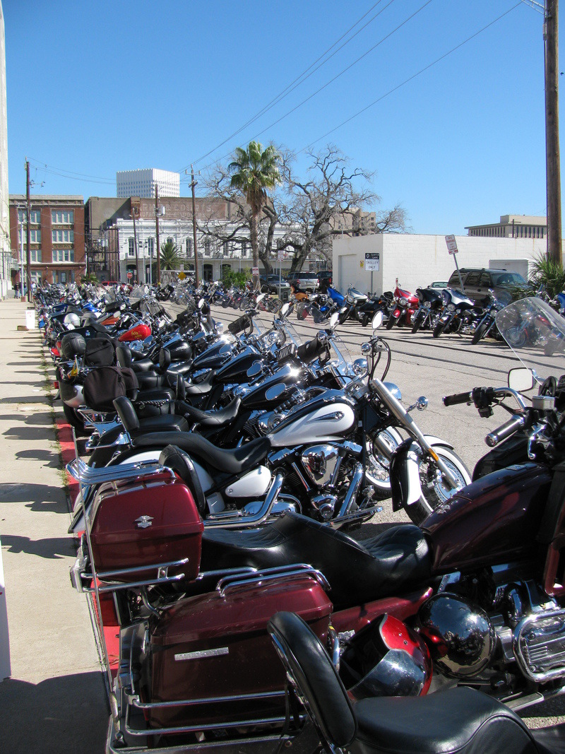 Galveston, TX: where do you park ?
