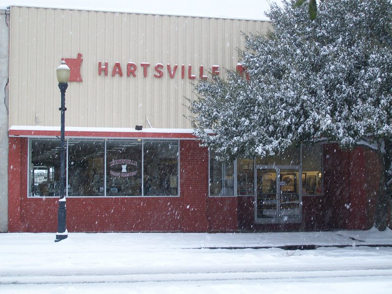 Hartsville, SC: Winter in Hartsville