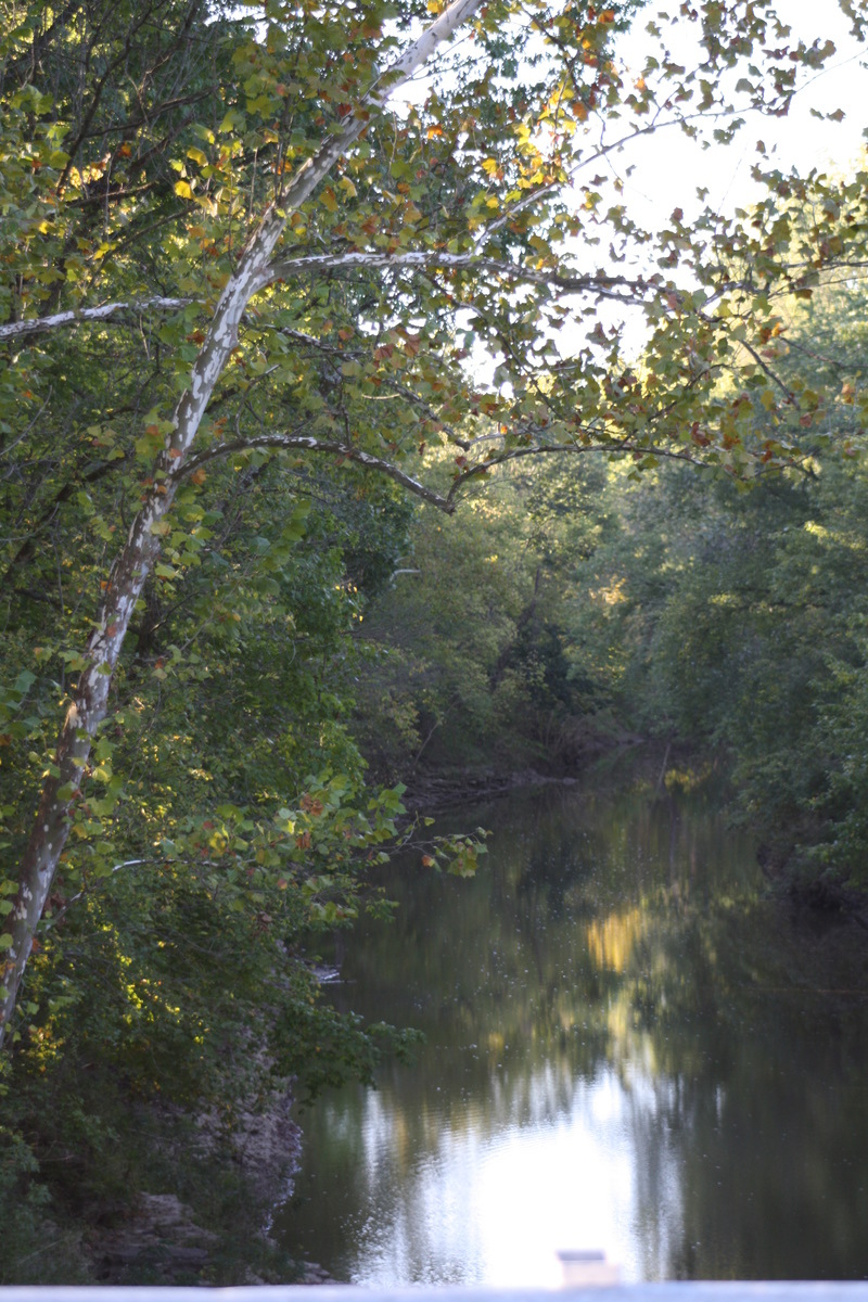 Troy, MO: A view of Cuivre River- Troy, MO