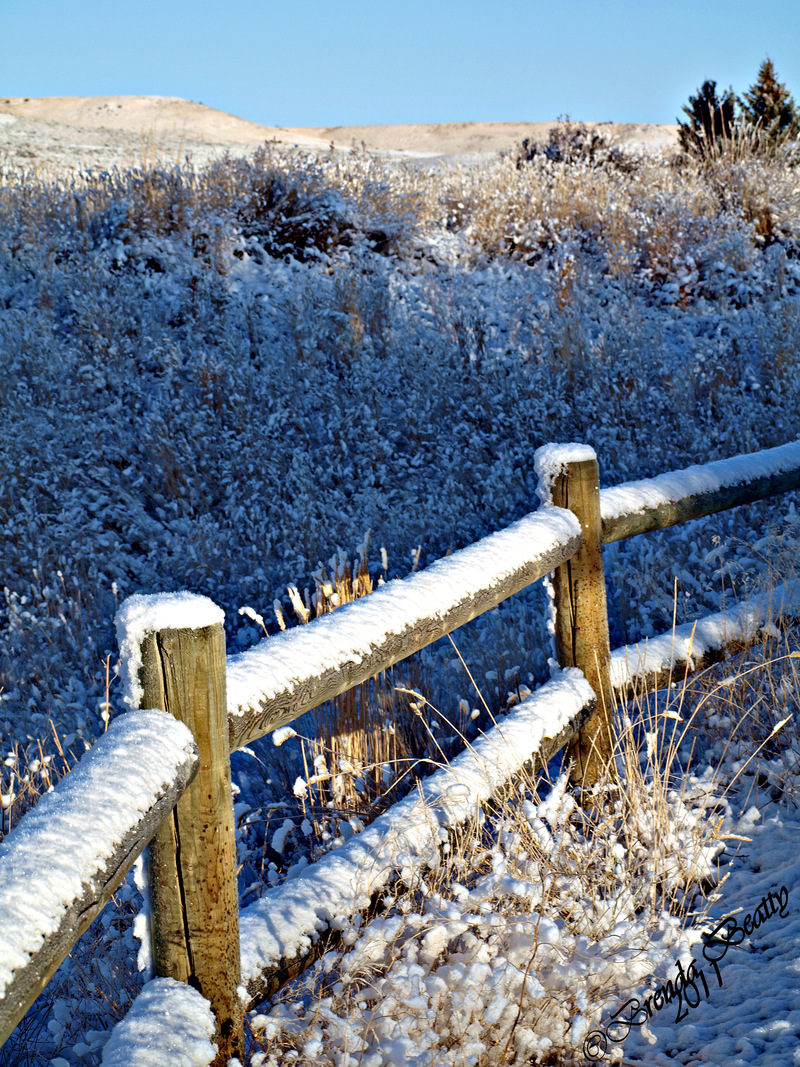 Kemmerer, WY: snowy fence on the Kemmerer walking trail