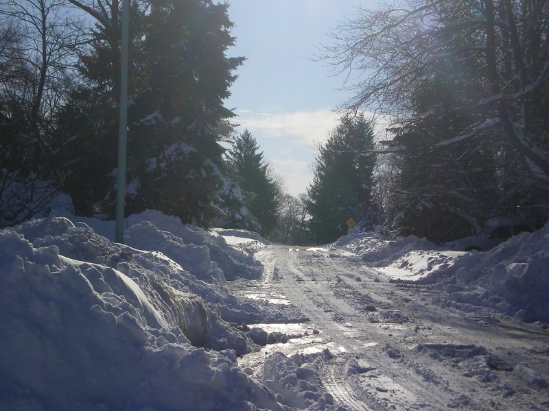 Broomall, PA: A view down Dogwood Lane, Broomall during the 2009-2010 snowstorm.