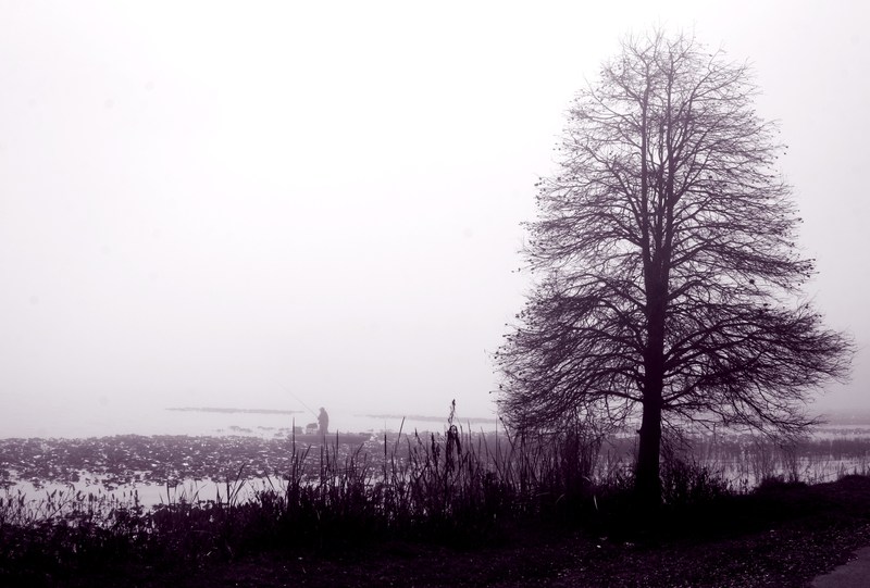 Leesburg, FL: Fog in Lake Harris