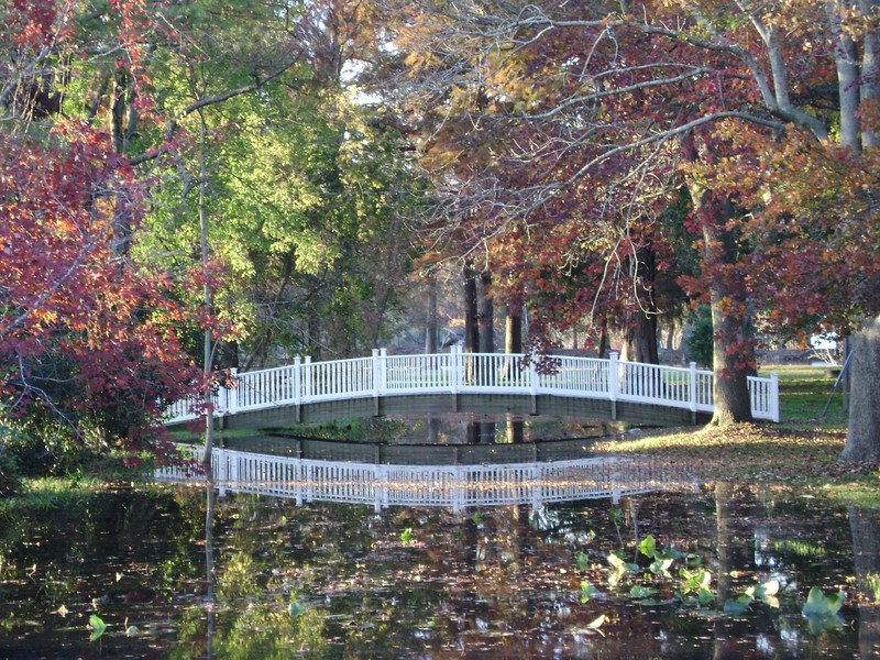 Snow Hill, MD: Byrd Park Pedestrian Bridge in Fall Colors