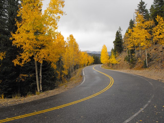 Evergreen, CO: Fall Colors Squaw Pass, Evergreen