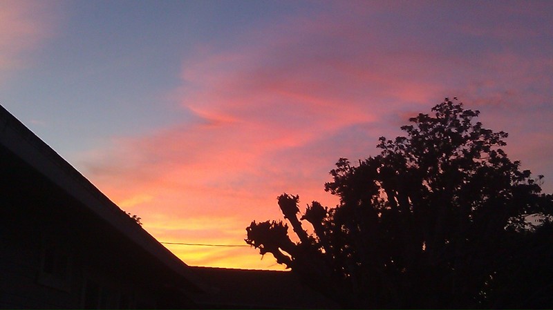 Fullerton, CA: Backyard Sunset