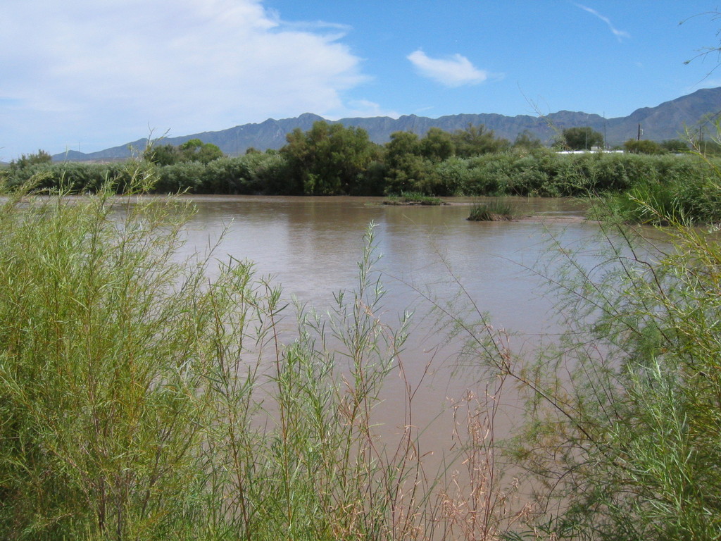 El Paso, TX : Rio-Grande River Park at El Paso