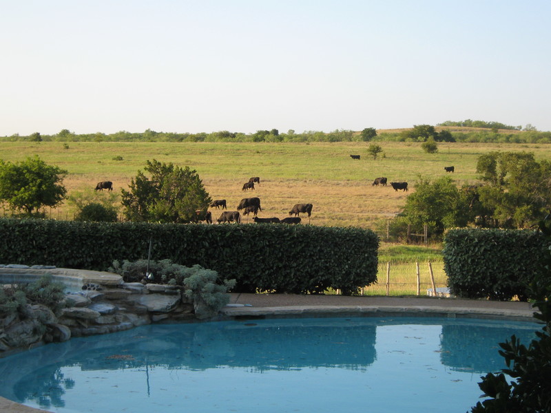 Annetta South, TX: The beautiful hilly pastures of Annetta South, Texas