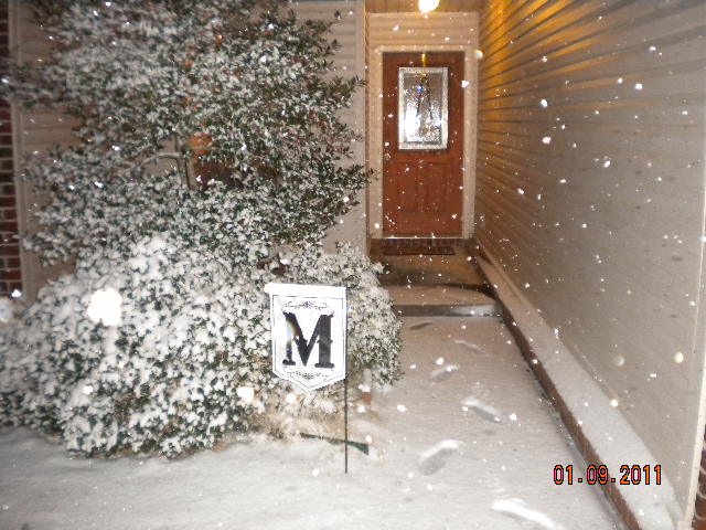 Cabot, AR: 2011 snow