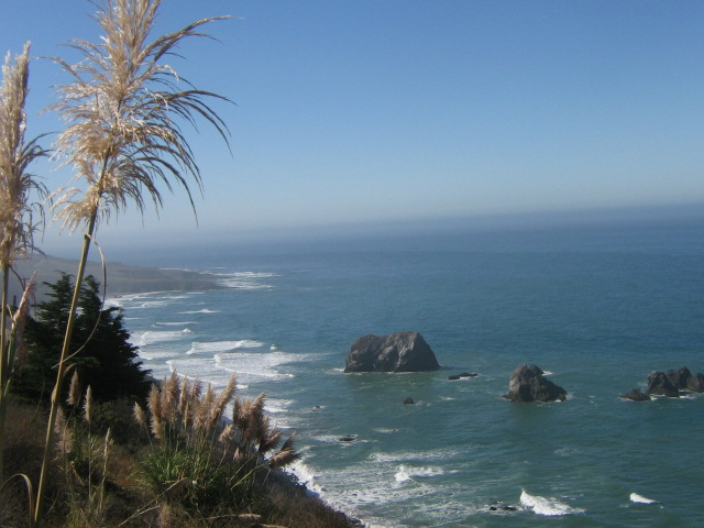Fort Bragg, CA: A beautiful view of the ocean from the hilltops in Fort Bragg, CA