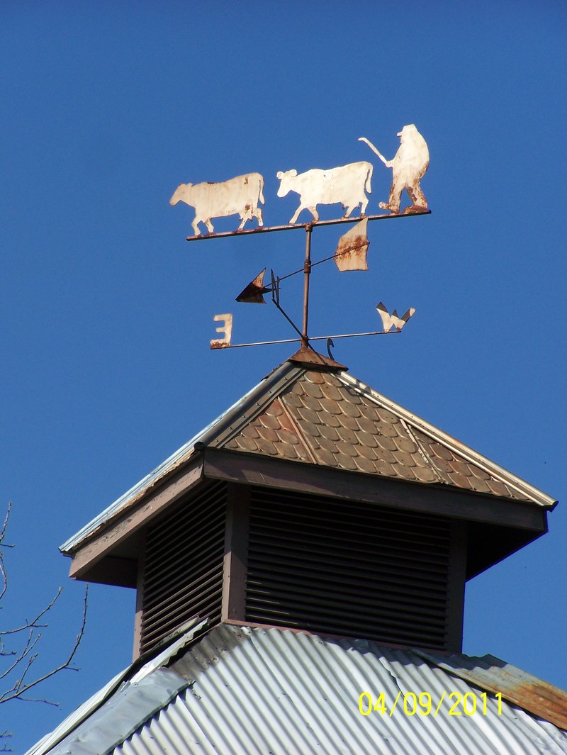 Oakland, OR: Weather vane on the barn of James Young of Oakland Oregon