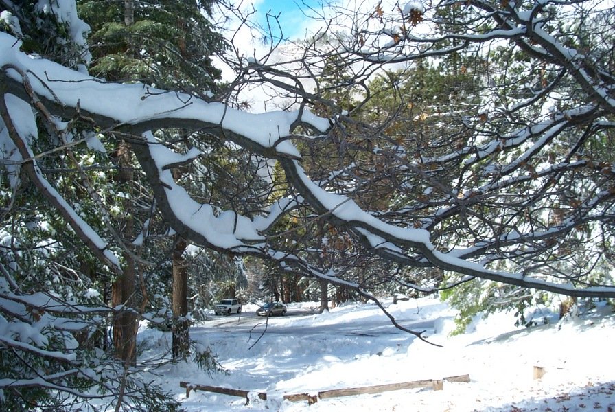 Idyllwild-Pine Cove, CA: Humber Park Snow in Idyllwild
