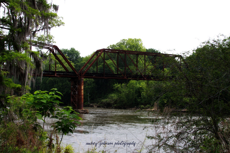 Albany, GA: Railroad Track over Flint River @ the QuariumTurtle Park