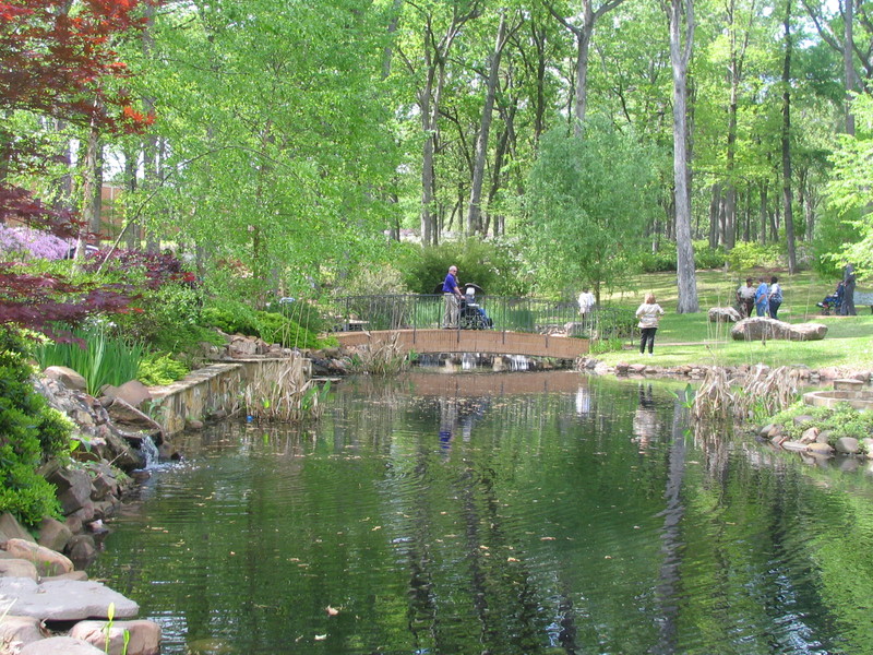 Shreveport, LA: Pond in Norton Art Gallery garden