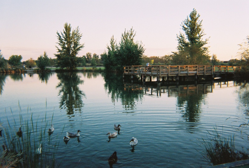 Fallon, NV: Liberty Pond