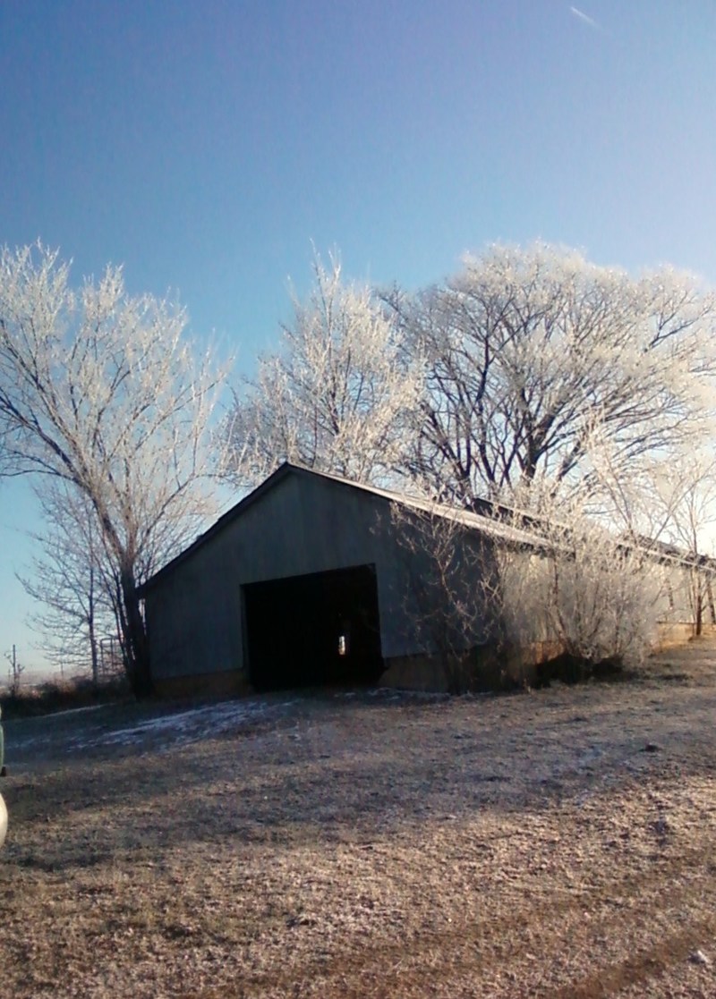 Berryville, AR: A frosty morning in Berryville AR...