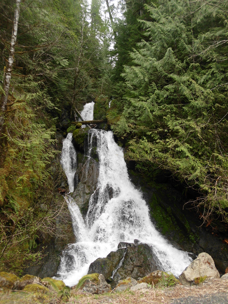 Wynoochee, WA: Water fall north of primitive camp ground....Taken from the road