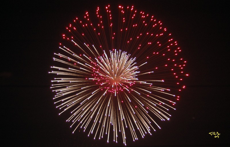 Hilliard, OH: "Blooming Firework" at Hilliard Community Center 2007
