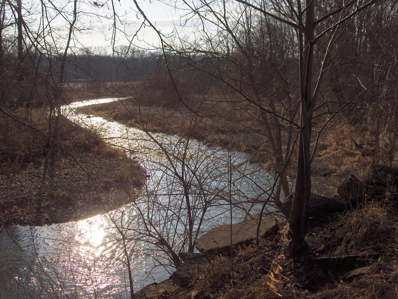 Tremont City, OH : Chapman Creek on the southwest corner of Tremont