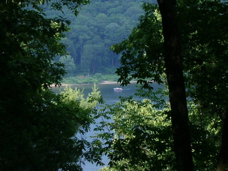Tionesta, PA: View from lookout on Summit Trail - Tionesta Dam