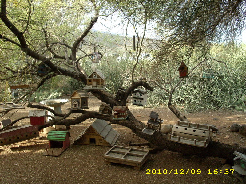 Black Canyon City, AZ: Bird Houses at Bylers Amish Cafe in Black Canyon City, AZ
