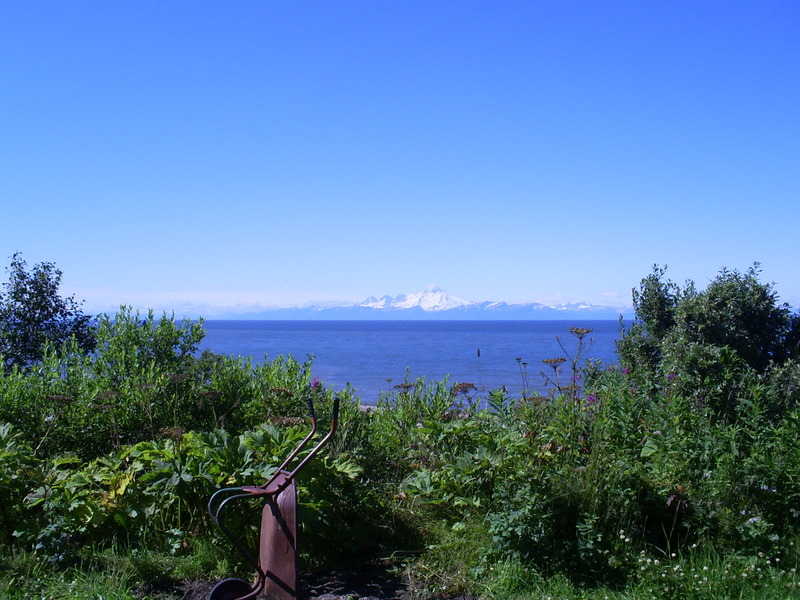 Ninilchik, AK Mount Iliamna from the church grounds photo, picture