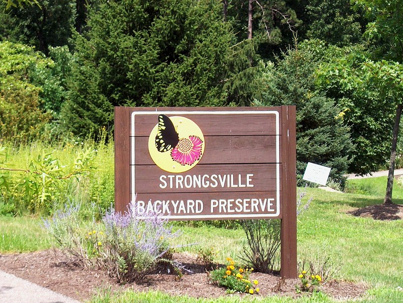 strongsville rec center