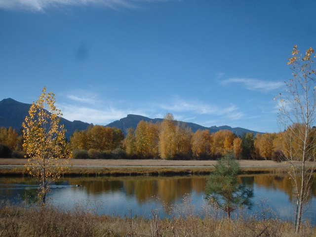 Corvallis, MT : Fall in Corvallis, Montana photo, picture, image
