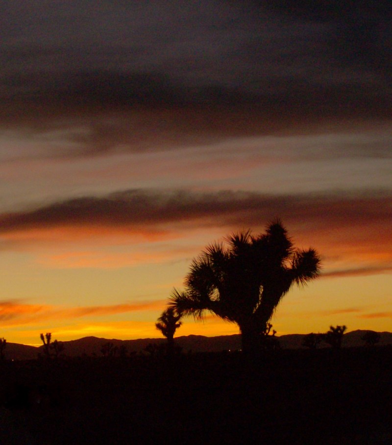 Littlerock, CA: desert skies